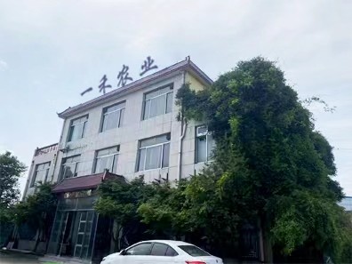 Κίνα Shandong Yihe Agricultural Technology Co., Ltd. Εταιρικό Προφίλ