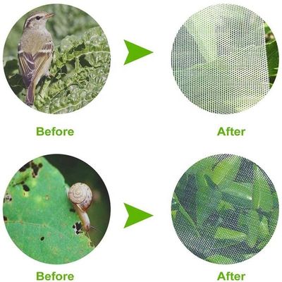 Γεωργία HDPE πλαστικό πλέγμα κατά των εντόμων Πλέγμα κατά των εντόμων για κάλυψη Φρουτοδέντρα
