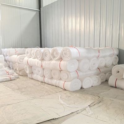 2.5x6m/2.5x10m Φυτικές καλλιέργειες Προστατευτικό πλέγμα Φρούτα Λαχανικά Φροντίδα κάλυψη Πλέγμα εντόμων Πλέγμα κήπου Καταπολέμηση επιβλαβών οργανισμών Πλέγμα κατά των πτηνών Πλέγμα αρώματος Κανένα