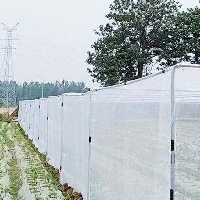 Διαφανές Δίκτυο Αντιφυτικής Δίκτυο 20x10 για τη γεωργία και τη σκιά Δίκτυα περιφραγμένων πλωτών Δίκτυα διαχείρισης επιβλαβών οργανισμών