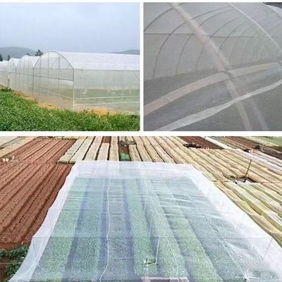 Διαφανές Δίκτυο Αντιφυτικής Δίκτυο 20x10 για τη γεωργία και τη σκιά Δίκτυα περιφραγμένων πλωτών Δίκτυα διαχείρισης επιβλαβών οργανισμών