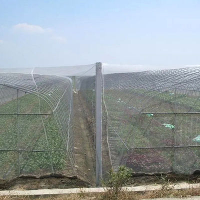 Ανθεκτικό πτυσσόμενο εντόσθιο δίχτυ HDPE για γεωργική προστασία 40 50 Mesh 45g 60g 70g