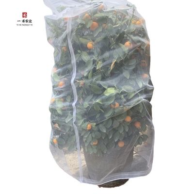Κάλυψη φυτών με πλαστικό HDPE από δίχτυ κατά των εντόμων