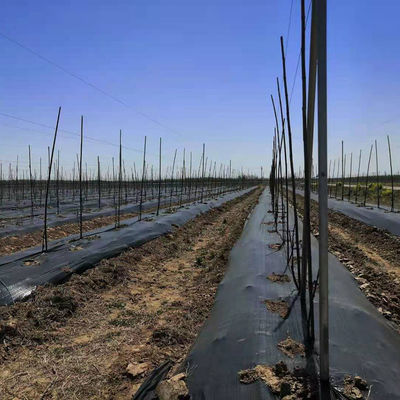 Κήπος Γεωργική Φάρμα Μαύρο Αντι-Θόρμη Υφασμάτινο Φραγμό Χόρτου Ματ Control Mulch Υφασμάτινο Εργαλείο PORTABLE