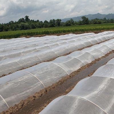 Ηλεκτρονικό υλικό HDPE για την προστασία από έντομα