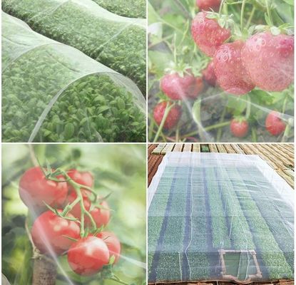 Ηλεκτρονικό υλικό HDPE για την προστασία από έντομα