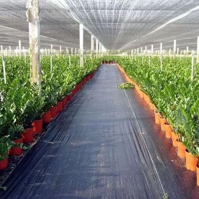Προστατευτικό PP υφασμένο μεμβράνη PE Ground Cover Mesh Weed Mat Roll Anti Grass Weed Mulch Film