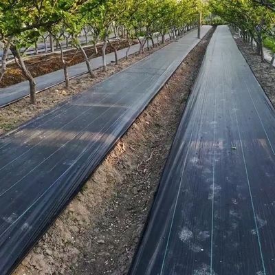 Προστατευτικό PP υφασμένο μεμβράνη PE Ground Cover Mesh Weed Mat Roll Anti Grass Weed Mulch Film