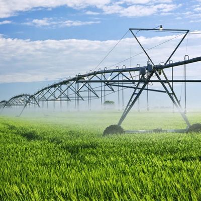 Ανακαλύψτε τα οφέλη του Center Pivot Sprinkler μας για τη γεωργία