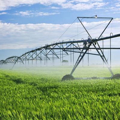 Γεωργία Irritech γραμμικό σύστημα άρδευσης Διαμέτρου 230 ίντσες Για τις απαιτήσεις σας