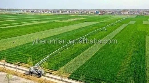 Απομακρυσμένη παρακολούθηση 3800 KG αυτόματη πλευρική γραμμική κίνηση