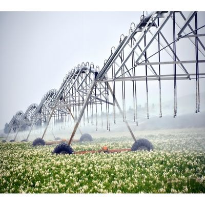 Αναβαθμίστε την αποδοτικότητα της γεωργίας σας με το αυτόματο σύστημα άρδευσης της γεωργίας μας Μεταλλικό κέντρο κύκλου και πλευρική κίνηση