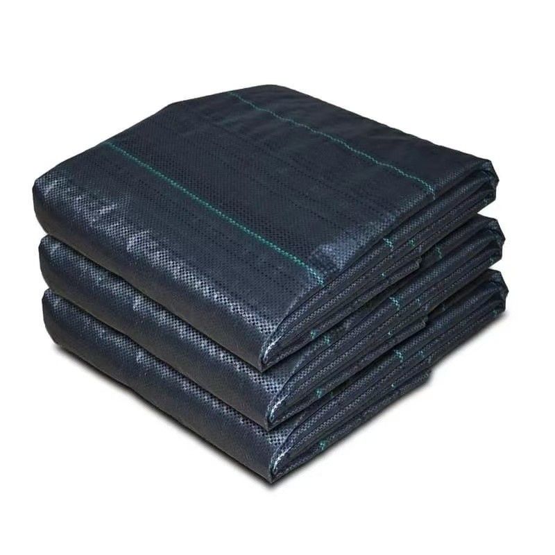 Προστατευτικό PP υφασμένο μεμβράνη PE Ground Cover Mesh Weed Mat Roll Anti Grass Weed Mulch Film